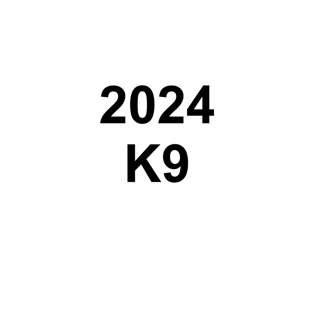 2024 K9 키워드 페블 그레이 실구매 후기 이건 꼭 봐야해!