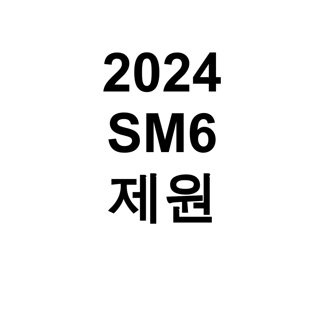 2024 SM6 제원 풀옵션 가격부터 LPG까지 솔직 후기 대공개!