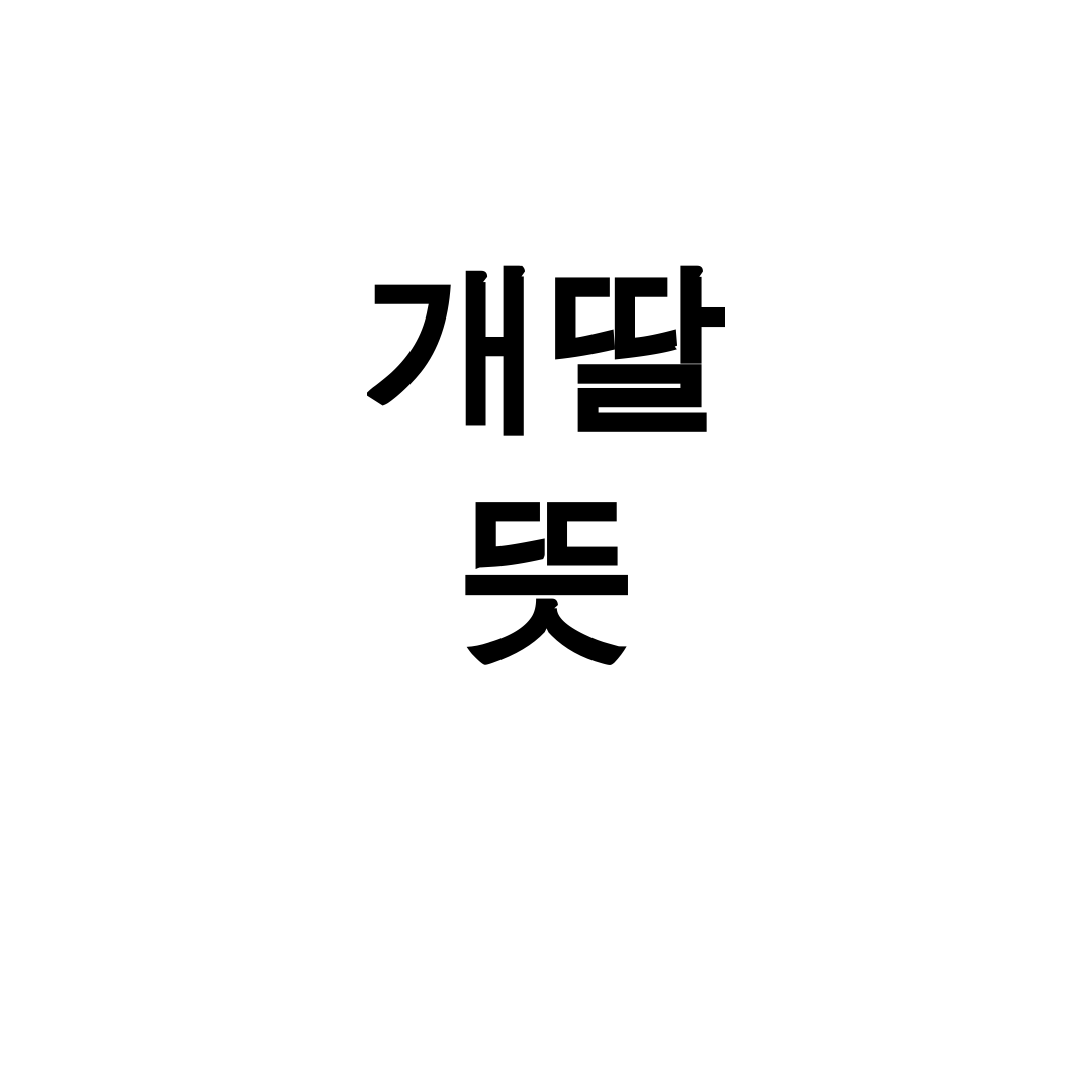 개딸 뜻 “수박이라 부르지 마세요” 충격적인 진실 후기