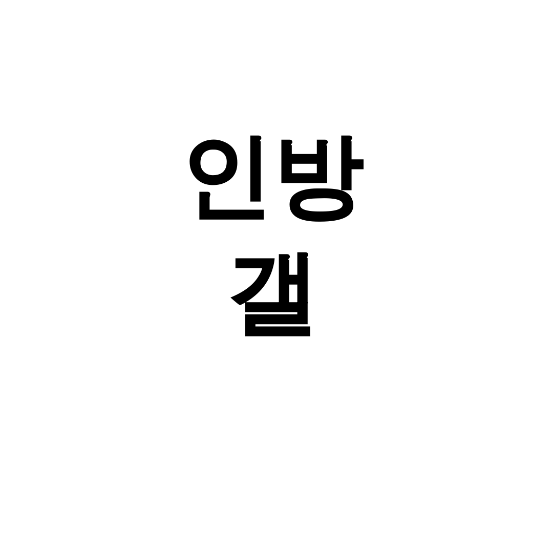 인방갤 아프리카 BJ들의 레전드 방송 후기, 개념글 모음.zip