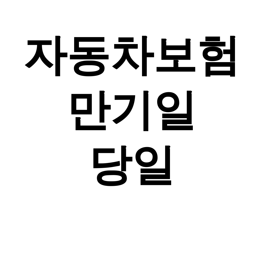 자동차보험 만기일 당일
