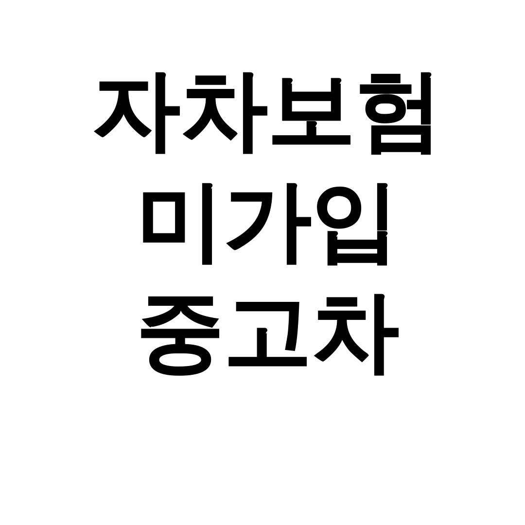 자차보험 미가입 중고차